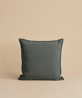 Adler Pillow