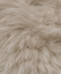 Fabric Swatch Light Taupe Shearling